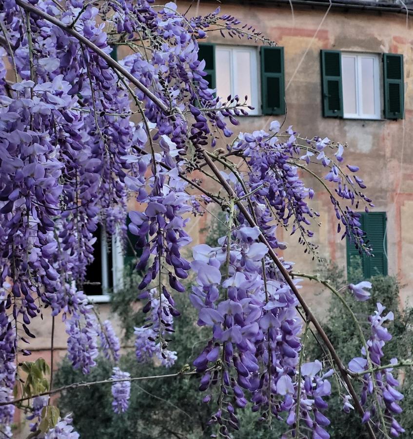 Alloggio in famiglia Sopra Il Parco A 2 Passi Dal Mare *